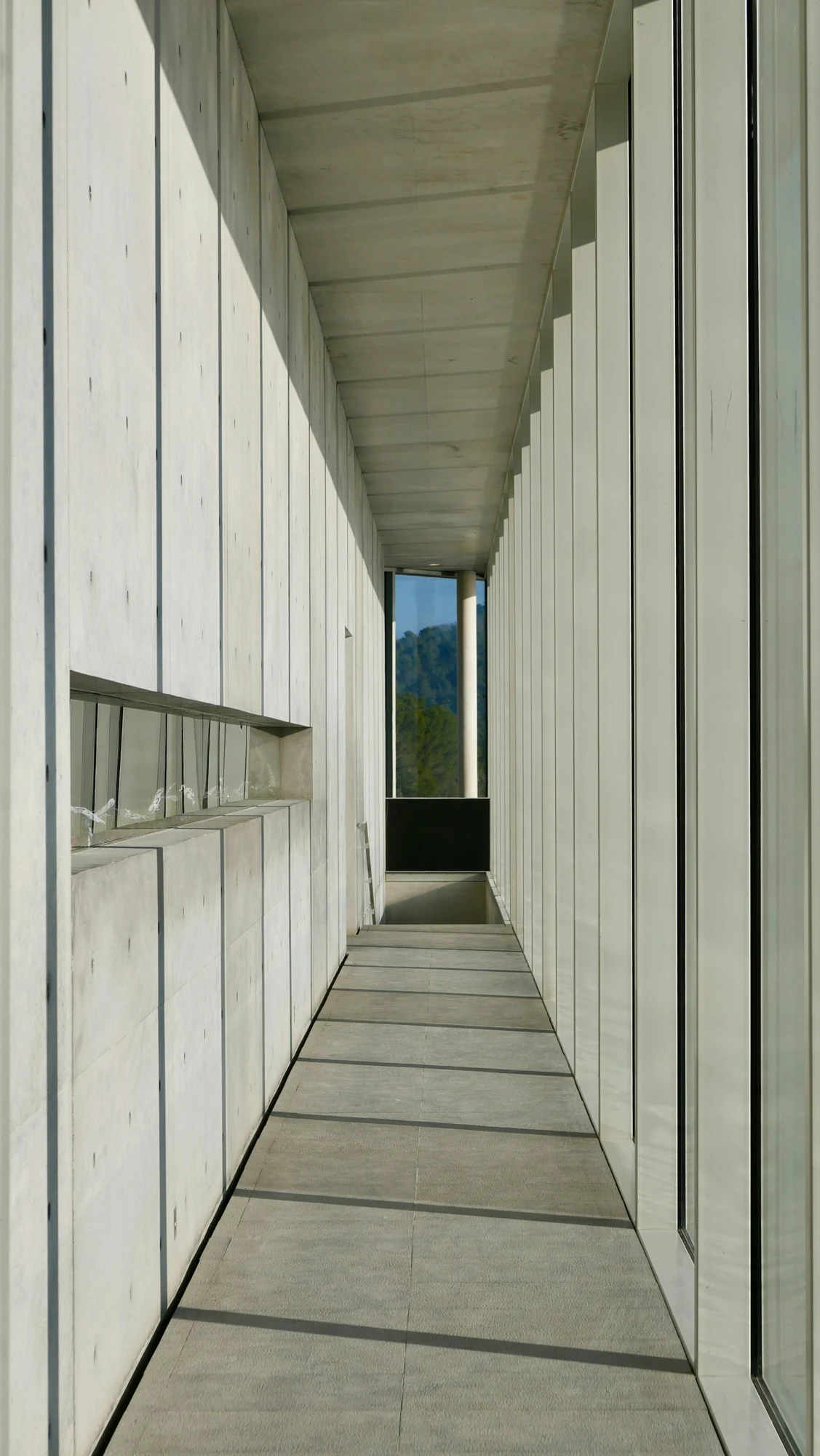 Perspective architecturale en béton et verre, éclairée par la lumière naturelle